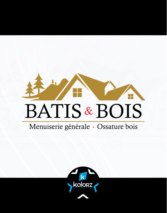 Création de logo et identité visuelle professionnelle BATIS & BOIS