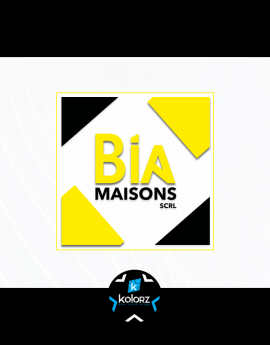 Création de logo et identité visuelle professionnelle BIA MAISONS