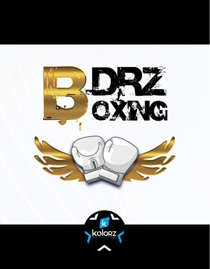 Création de logo et identité visuelle professionnelle BDRZ BOXING