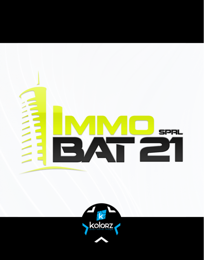 Création de logo et identité visuelle professionnelle IMMO BAT 21