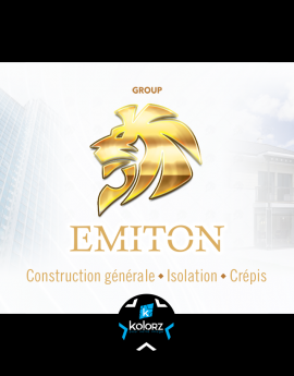 Création de logo et identité visuelle professionnelle EMITON GROUP