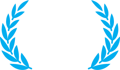 20 years experience